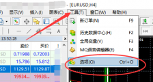 MT4只读密码更改设置（也叫观摩密码设置）图文教程