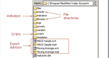 外汇EA文件的安装和使用